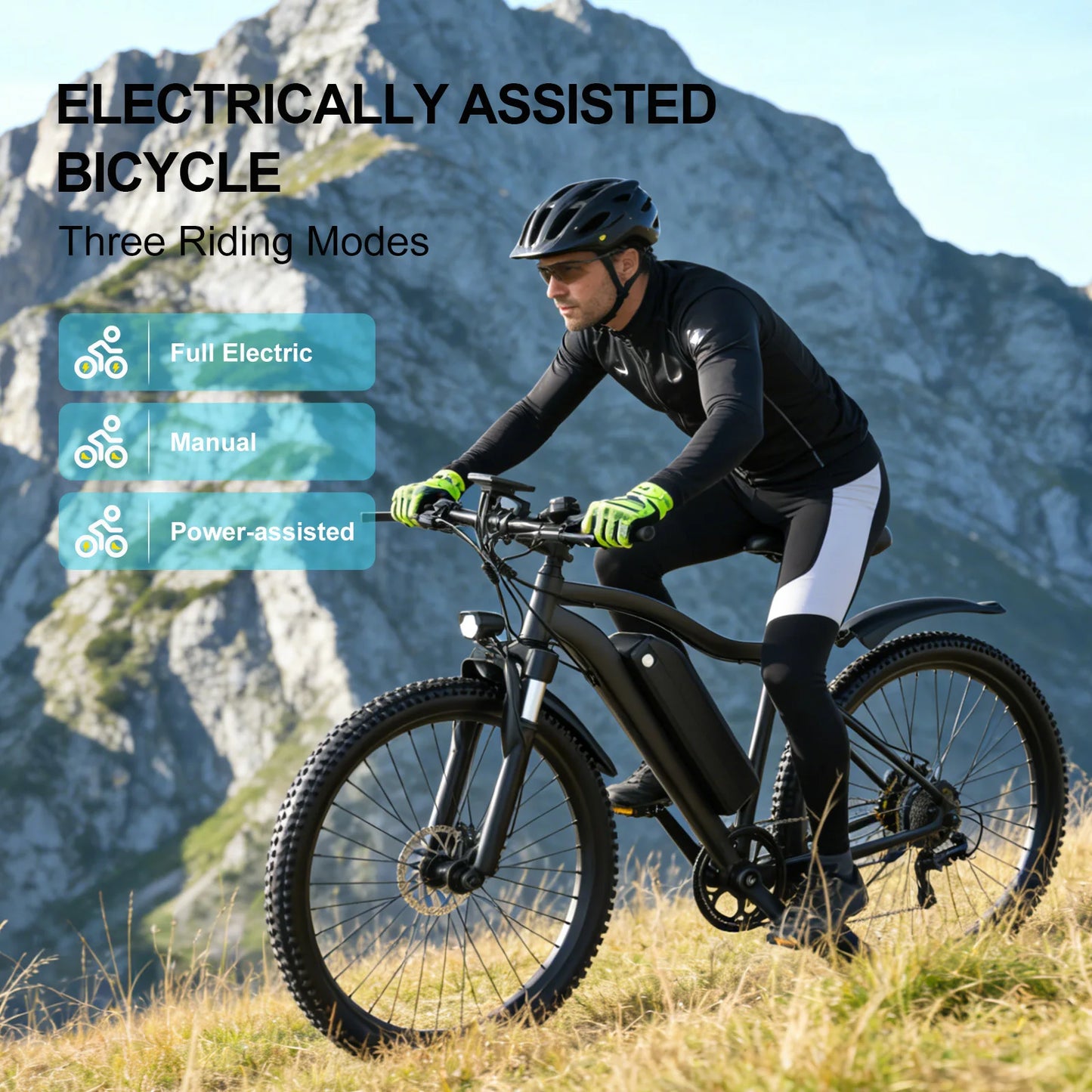 Toofly Mountain Electric Bicycle With Removable Battery