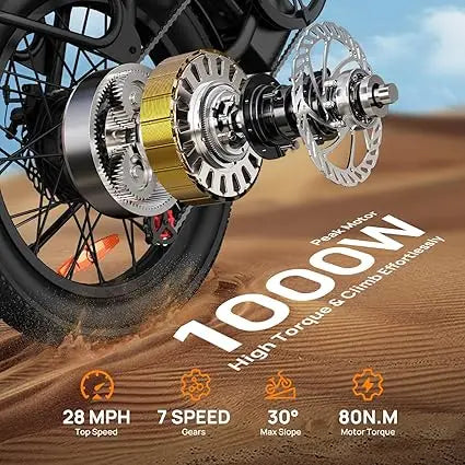 URLIFE 1000W Fat Tire Electric Bicycle With Removable Battery