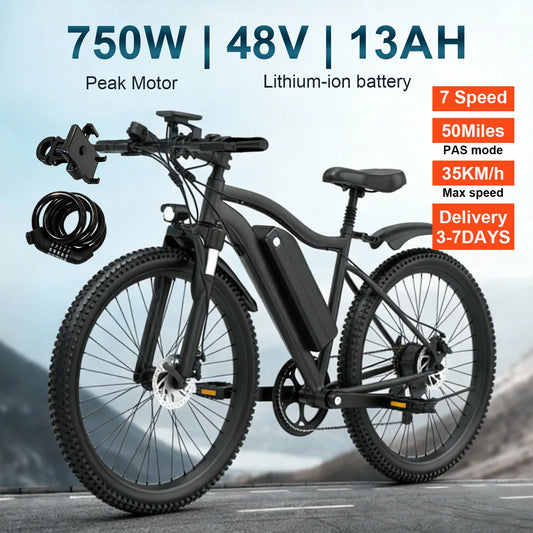 Toofly Mountain Electric Bicycle With Removable Battery