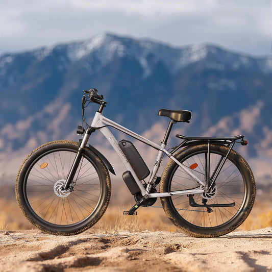 FENGQS Q8 2000W Electric Commuter Bicycle With 48V Battery